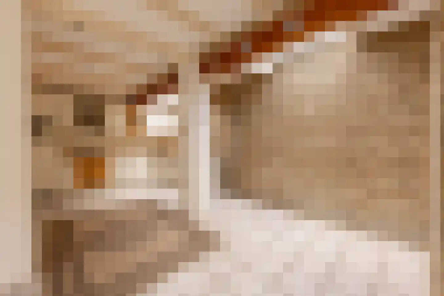 Cynthia Lenigestraat 1 Makkum thumbnail 18