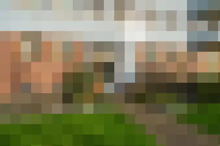 Cypergras 117 Den Haag thumbnail 6