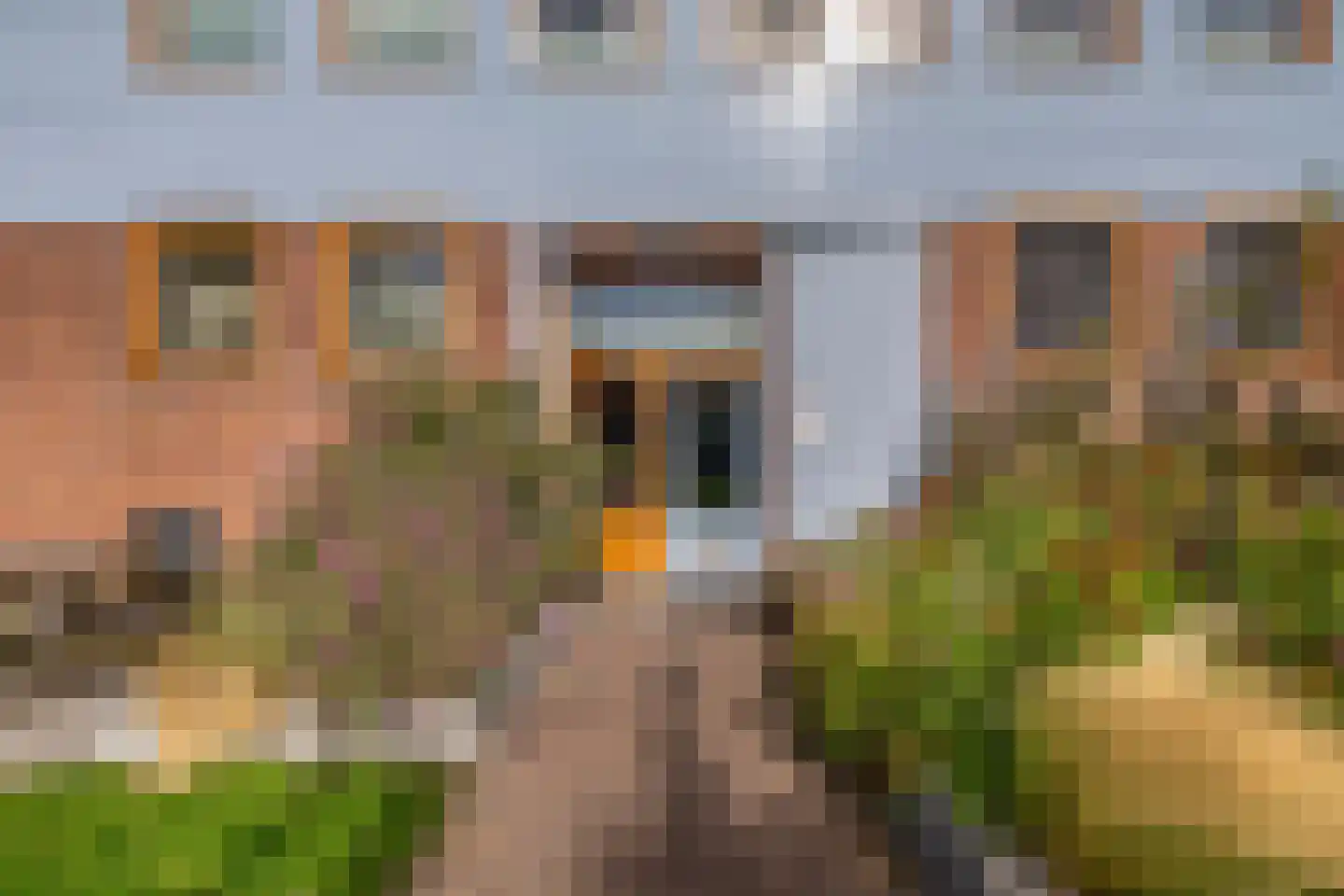 Cypergras 121 Den Haag thumbnail 23