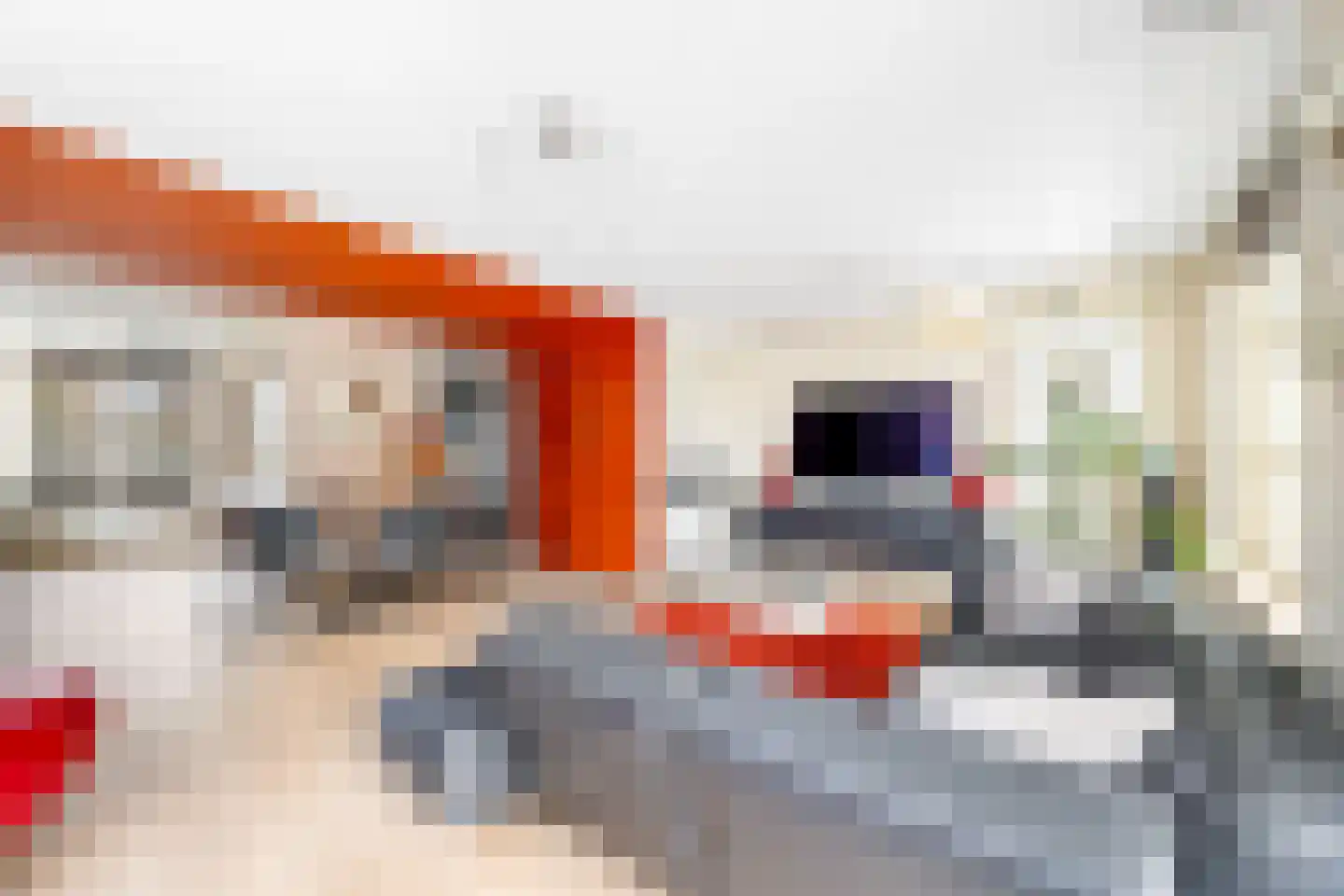 Cypergras 20 Den Haag thumbnail 12