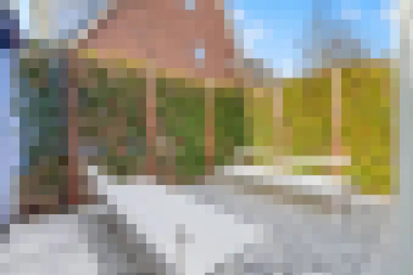 Cypergras 20 Den Haag thumbnail 31