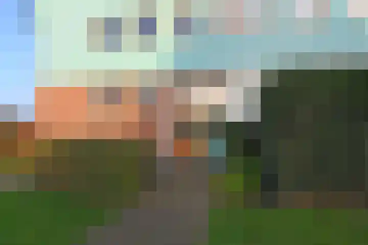 Cypergras 203 Den Haag thumbnail 4