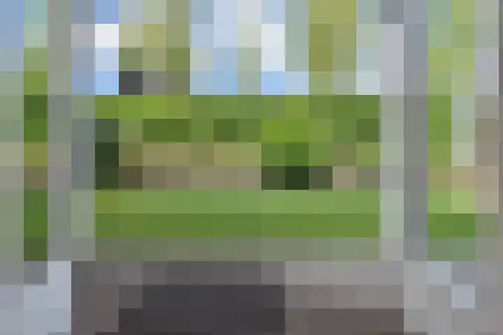 Cypergras 215 Den Haag thumbnail 10