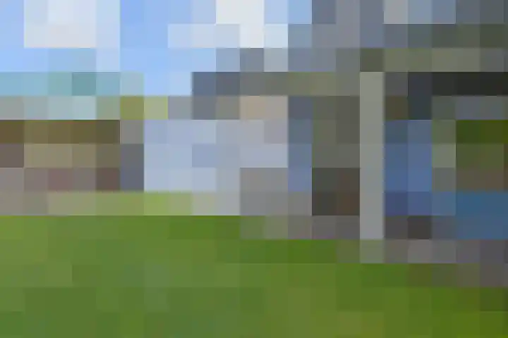 Cypergras 215 Den Haag thumbnail 12