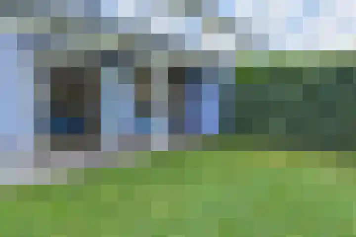 Cypergras 215 Den Haag thumbnail 13