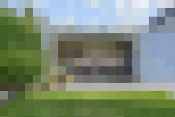 Cypergras 215 Den Haag thumbnail 15