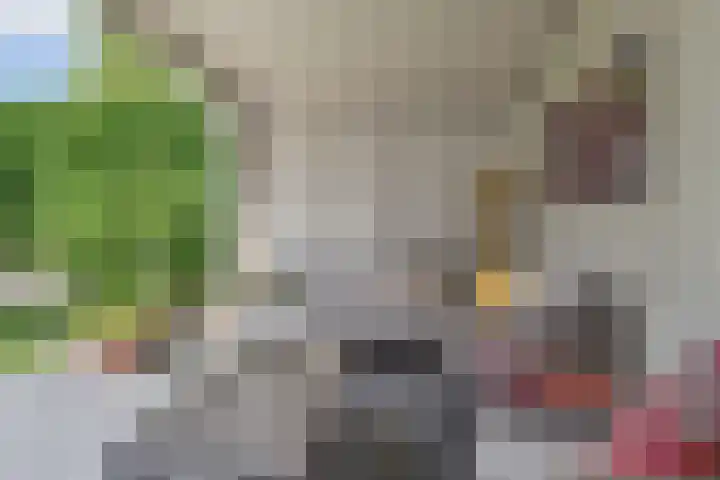 Cypergras 215 Den Haag thumbnail 17