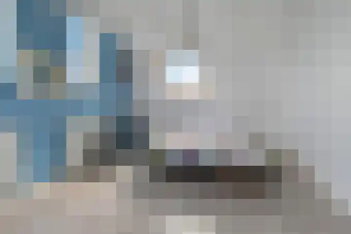 Cypergras 215 Den Haag thumbnail 47