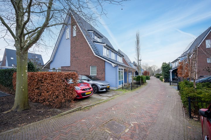 Cypergras 74 dans 's-Gravenhage photo