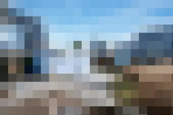 Cypergras 74 Den Haag thumbnail 16