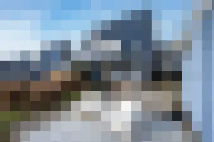 Cypergras 74 Den Haag thumbnail 17