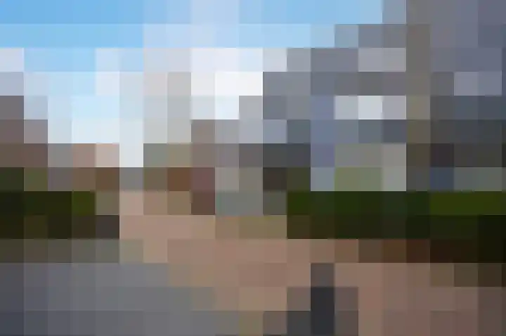 Cypergras 74 Den Haag thumbnail 4