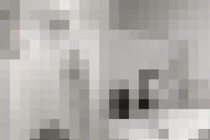Cypergrasweg 1 A 1 Almere thumbnail 24