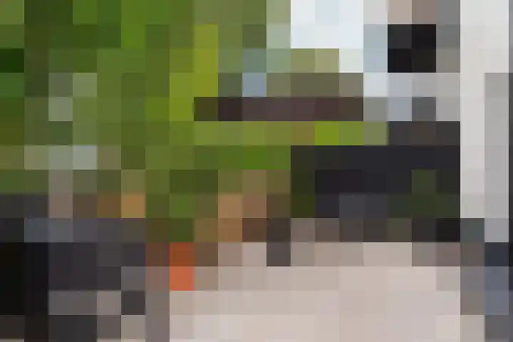 Cypergrasweg 1 A 1 Almere thumbnail 30