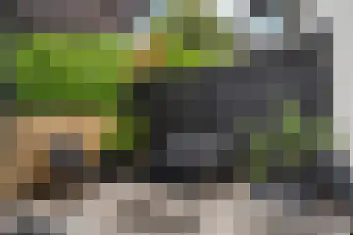 Cypergrasweg 1 A 1 Almere thumbnail 31