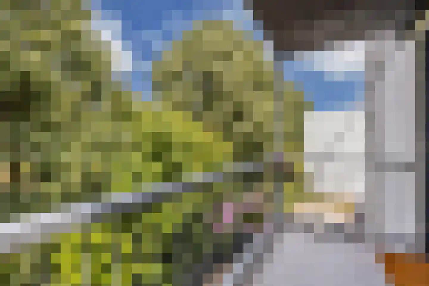 Cypergrasweg 1 A 3 Almere thumbnail 20