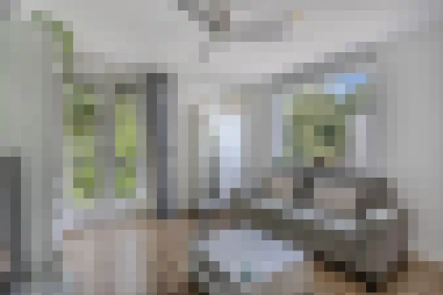 Cypergrasweg 1 A 3 Almere thumbnail 4