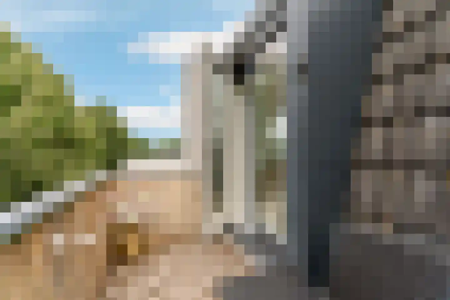 Cypergrasweg 1 A 5 Almere thumbnail 13