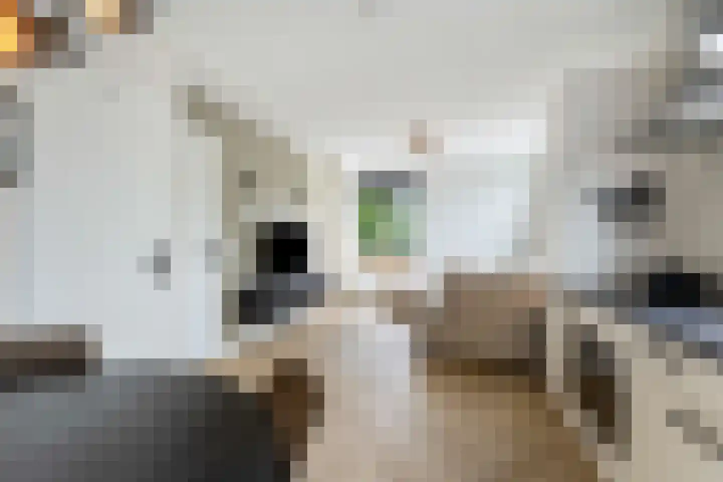 Cypergrasweg 1 A 5 Almere thumbnail 15