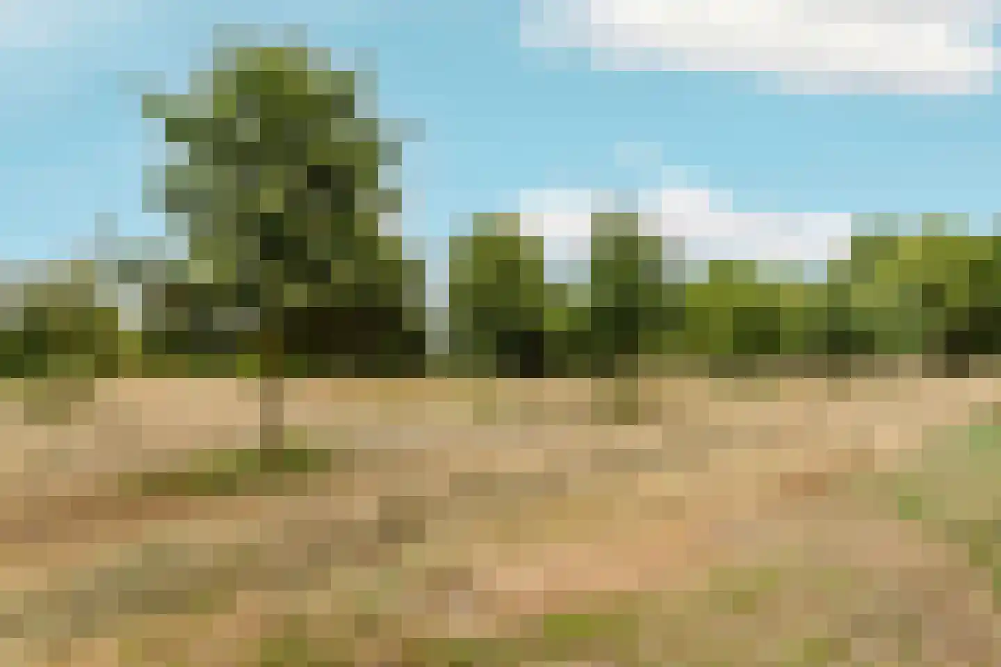 Cypergrasweg 1 A 5 Almere thumbnail 28