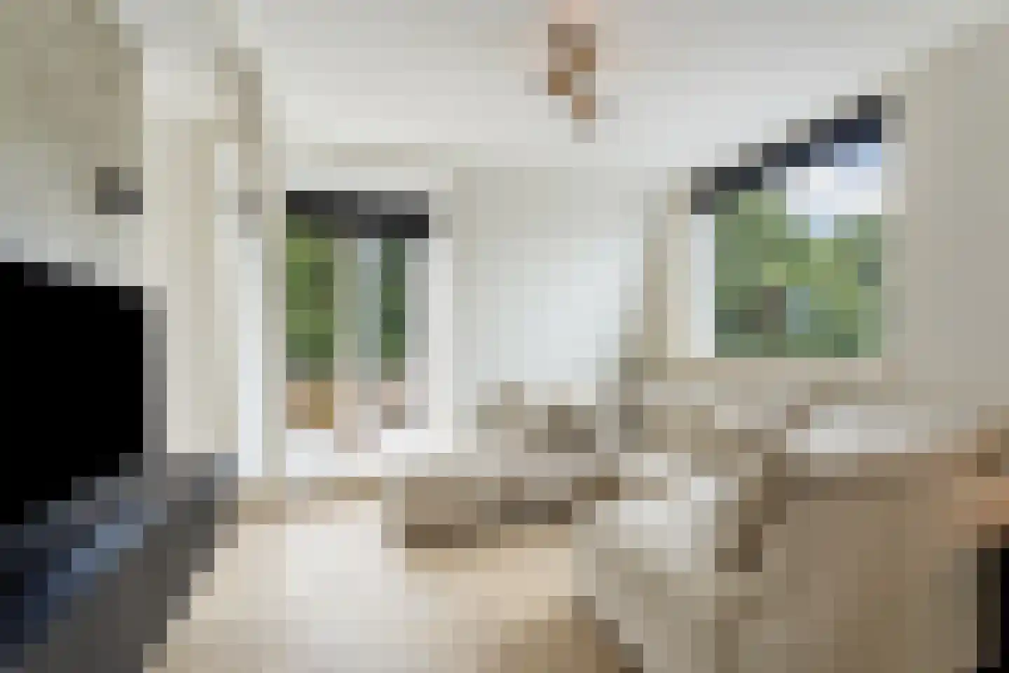 Cypergrasweg 1 A 5 Almere thumbnail 8