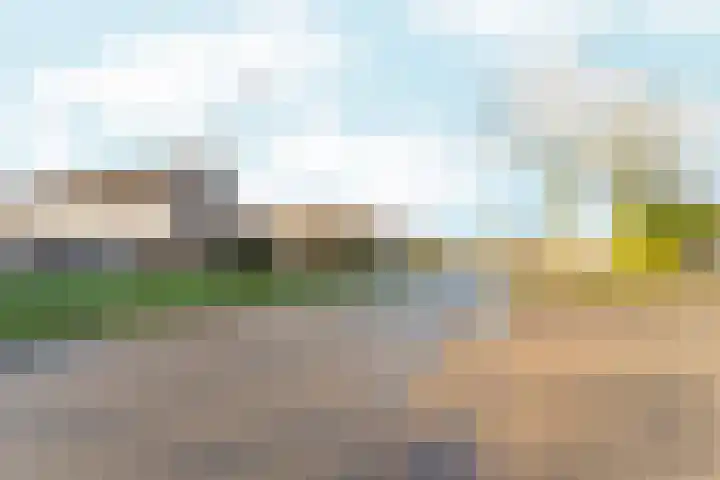 Cypergrasweg 1 A 6 Almere thumbnail 22