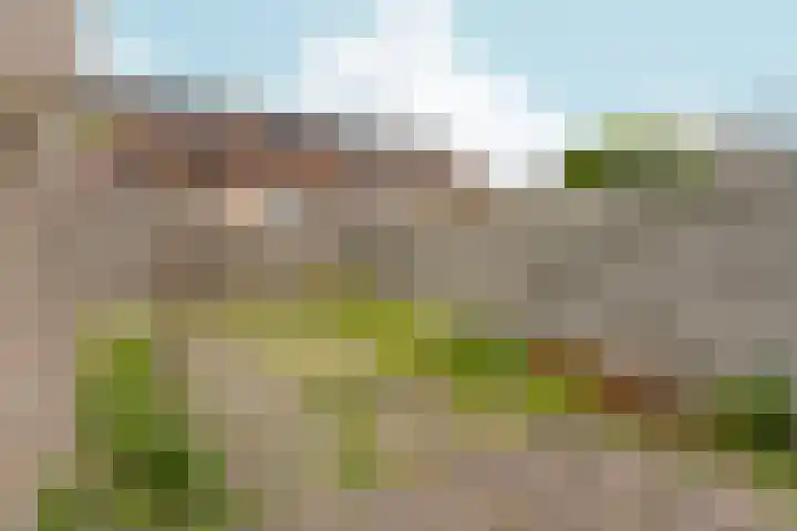 Cypergrasweg 26 Almere thumbnail 4