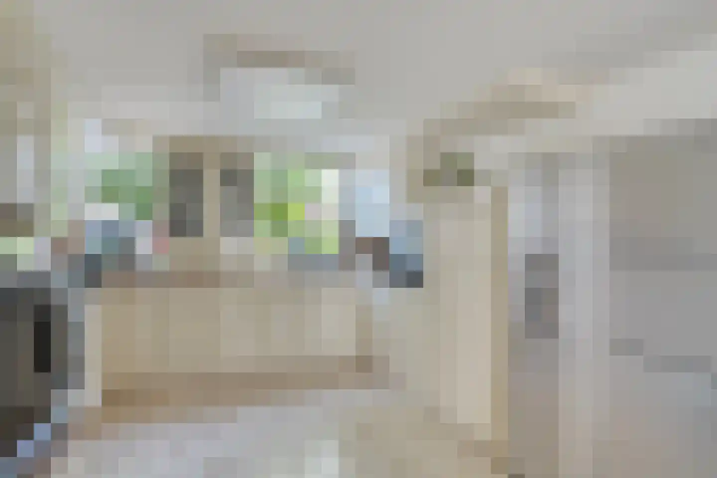 Cypres 18 Hoorn thumbnail 15