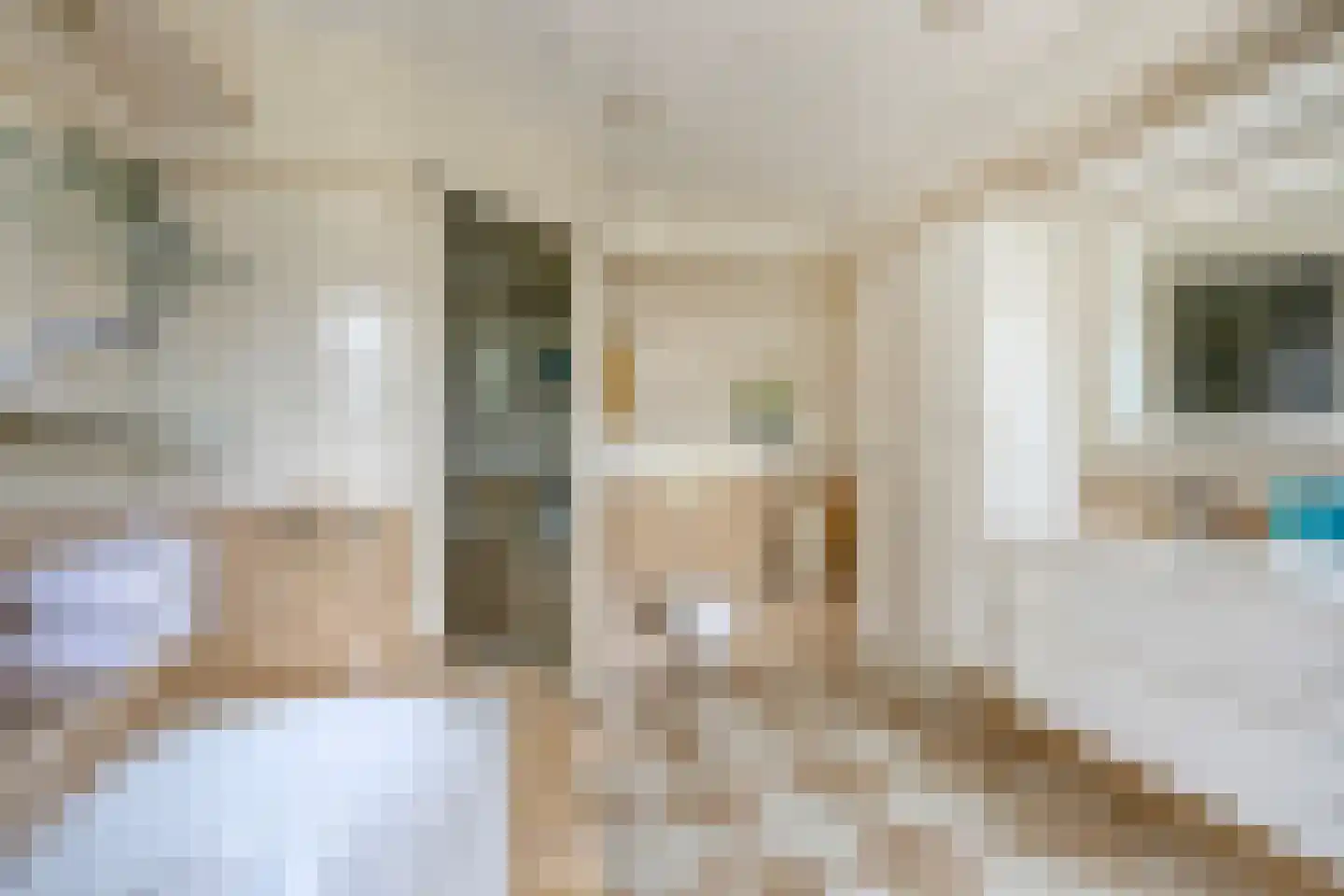 Cypres 18 Hoorn thumbnail 22
