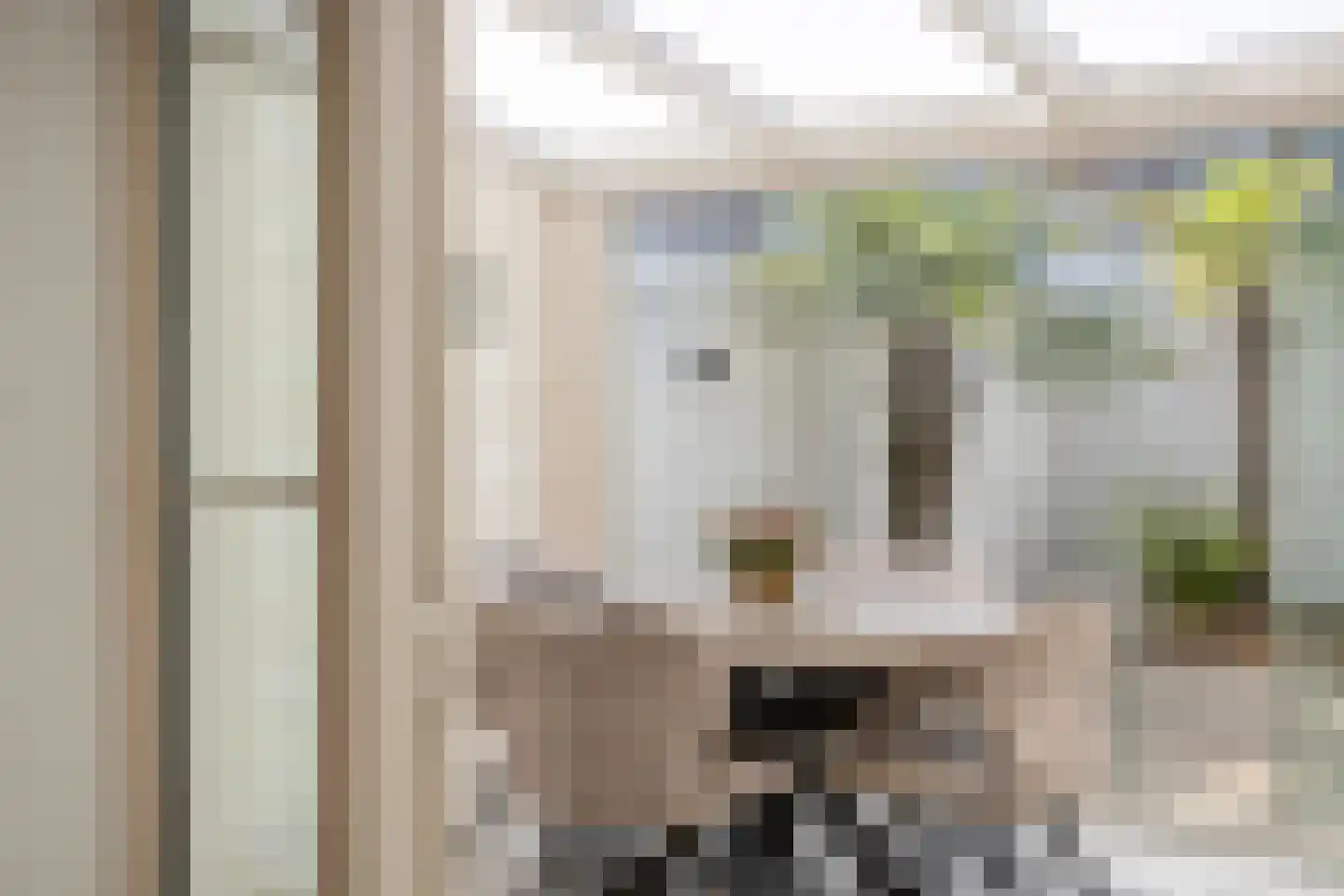 Cypres 18 Hoorn thumbnail 30