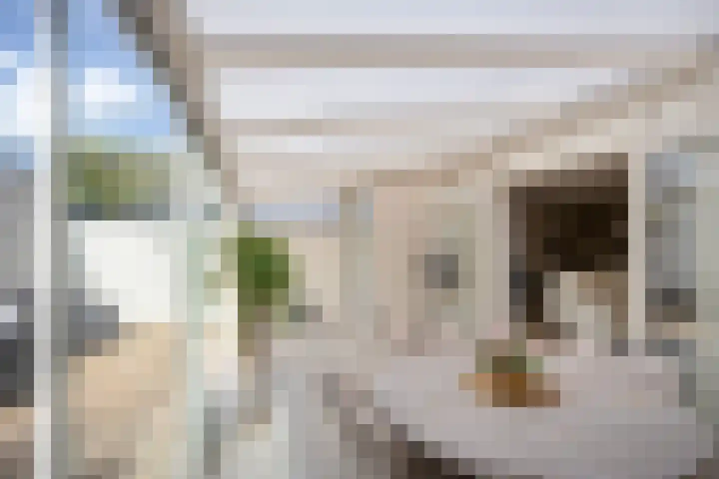 Cypres 18 Hoorn thumbnail 31
