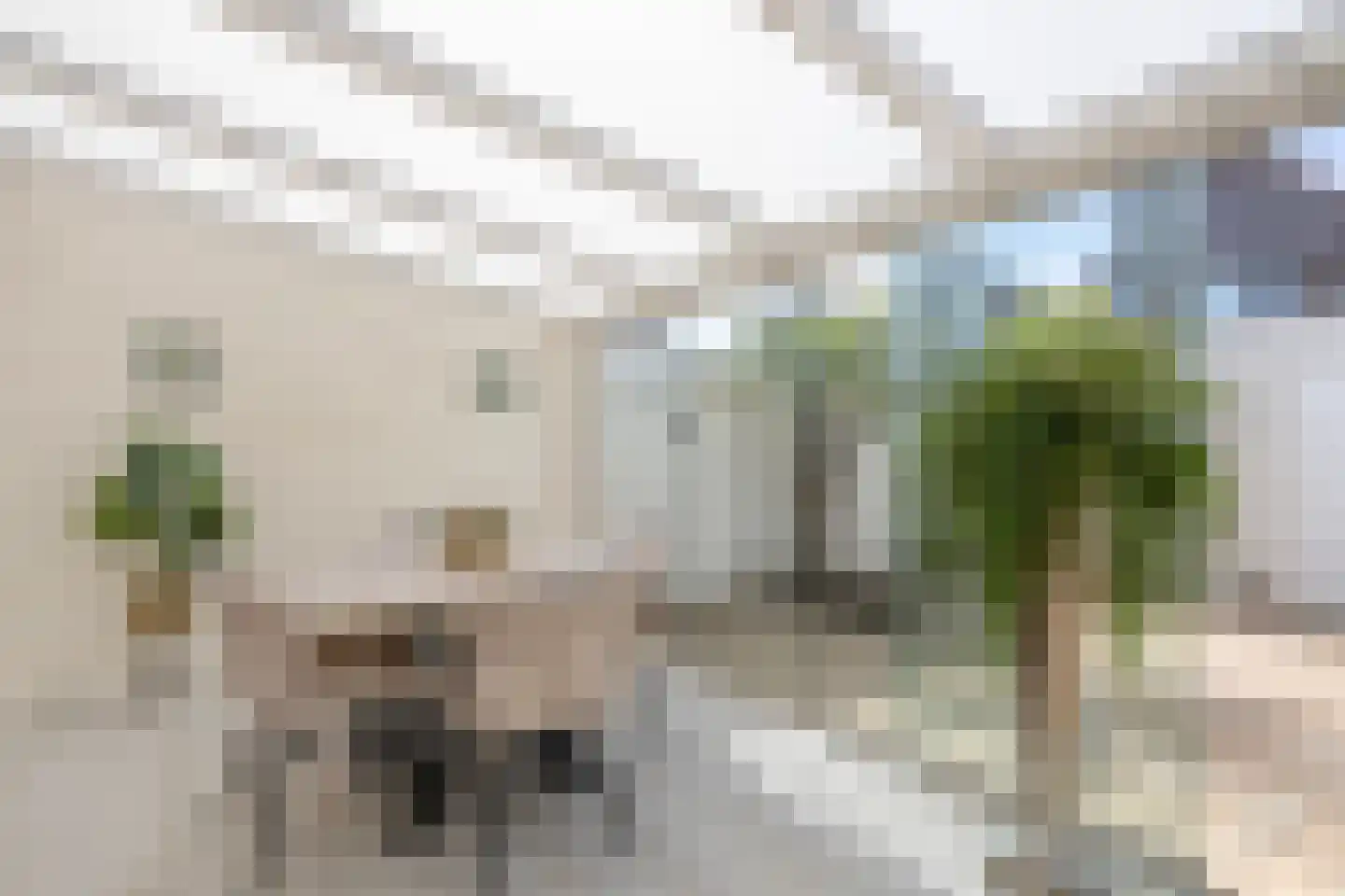 Cypres 18 Hoorn thumbnail 34