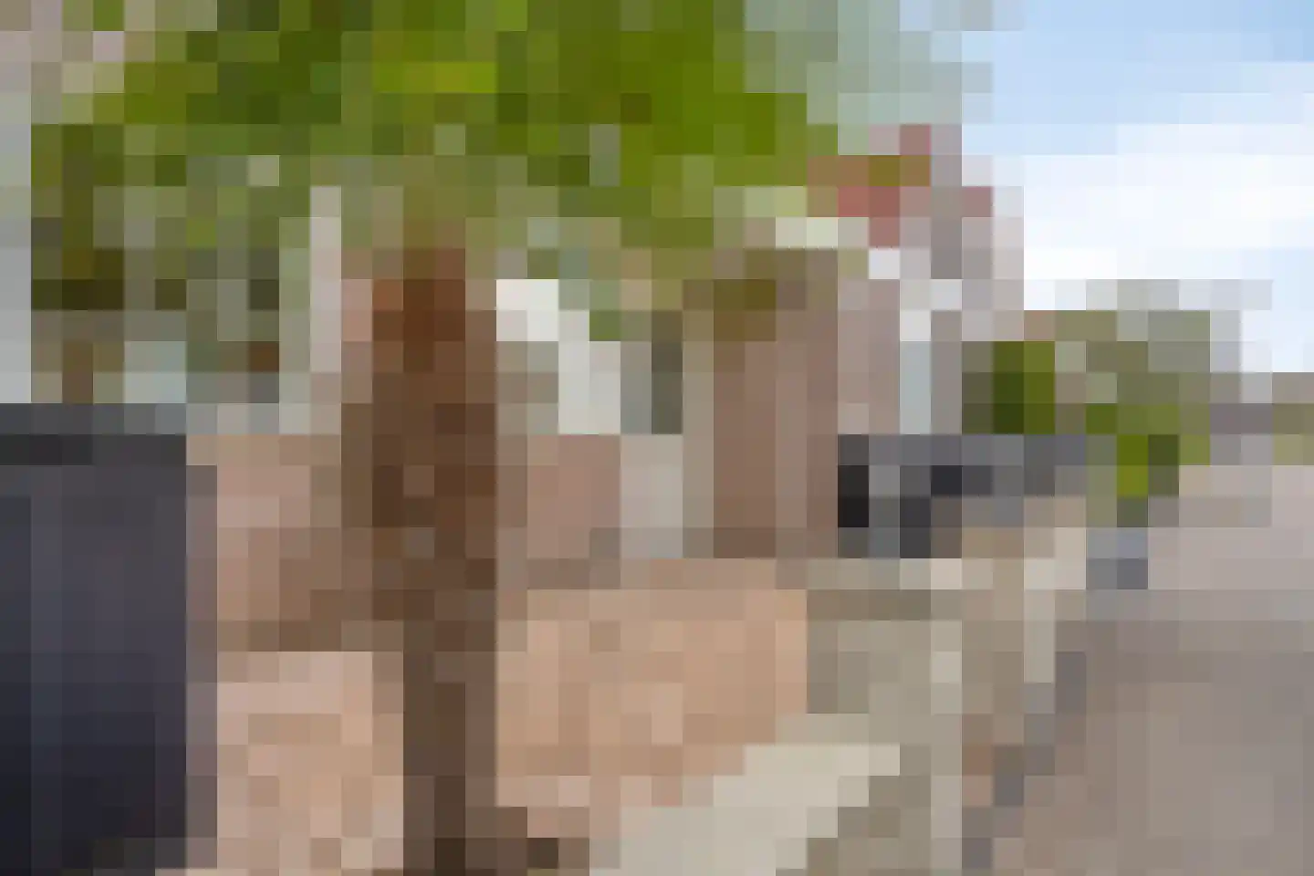 Cypres 18 Hoorn thumbnail 42