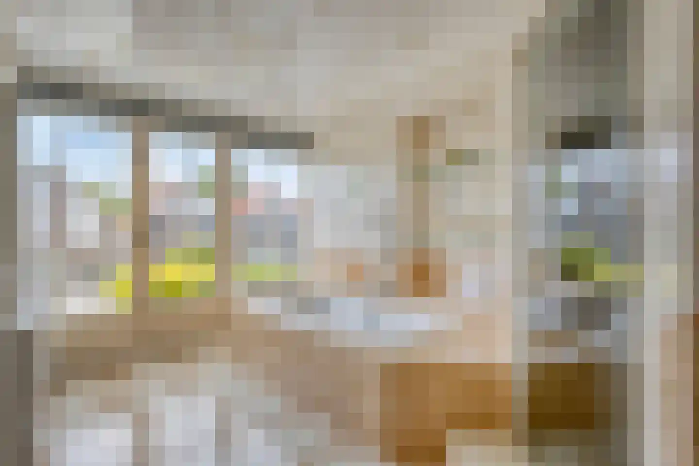 Cypres 18 Hoorn thumbnail 5