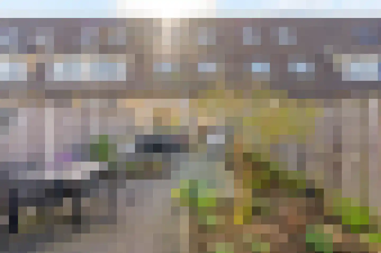 Cypresgroen 45 Zoetermeer thumbnail 13