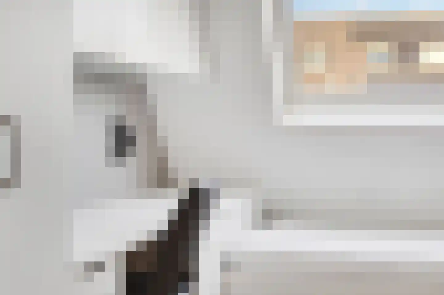 Cypresgroen 45 Zoetermeer thumbnail 31