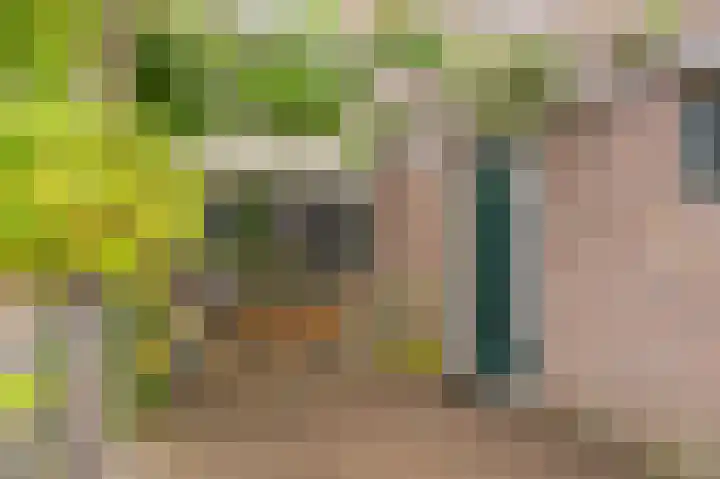 Cypreslaan 4 Exloo thumbnail 10