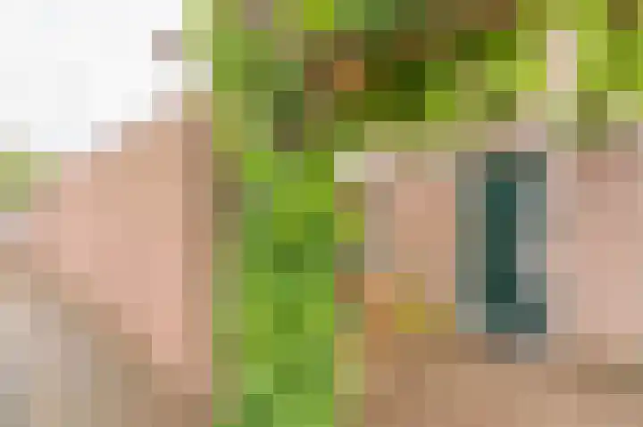 Cypreslaan 4 Exloo thumbnail 11