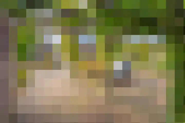 Cypreslaan 4 Exloo thumbnail 12