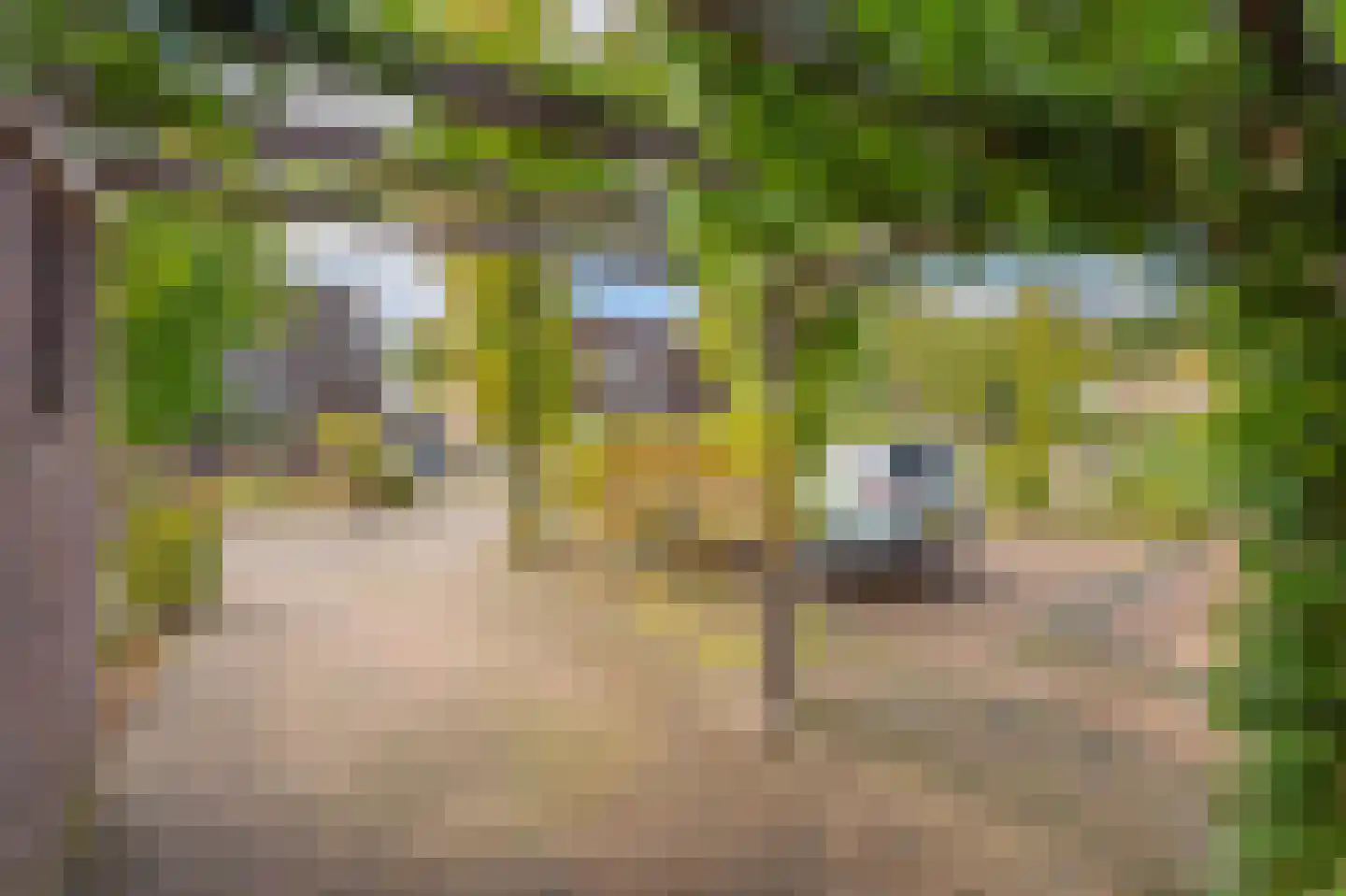 Cypreslaan 4 Exloo thumbnail 12