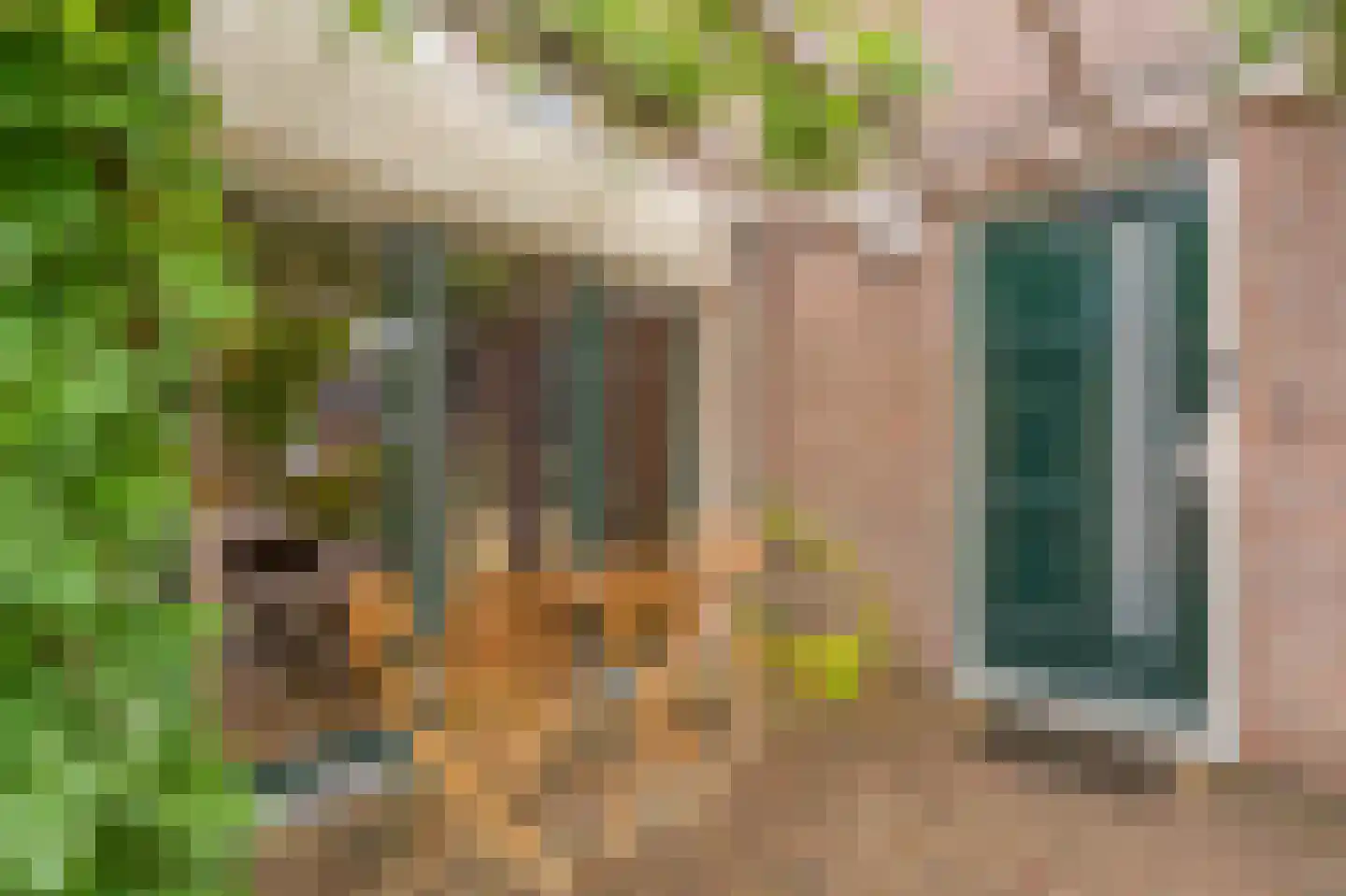 Cypreslaan 4 Exloo thumbnail 13