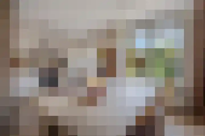 Cypreslaan 4 Exloo thumbnail 22