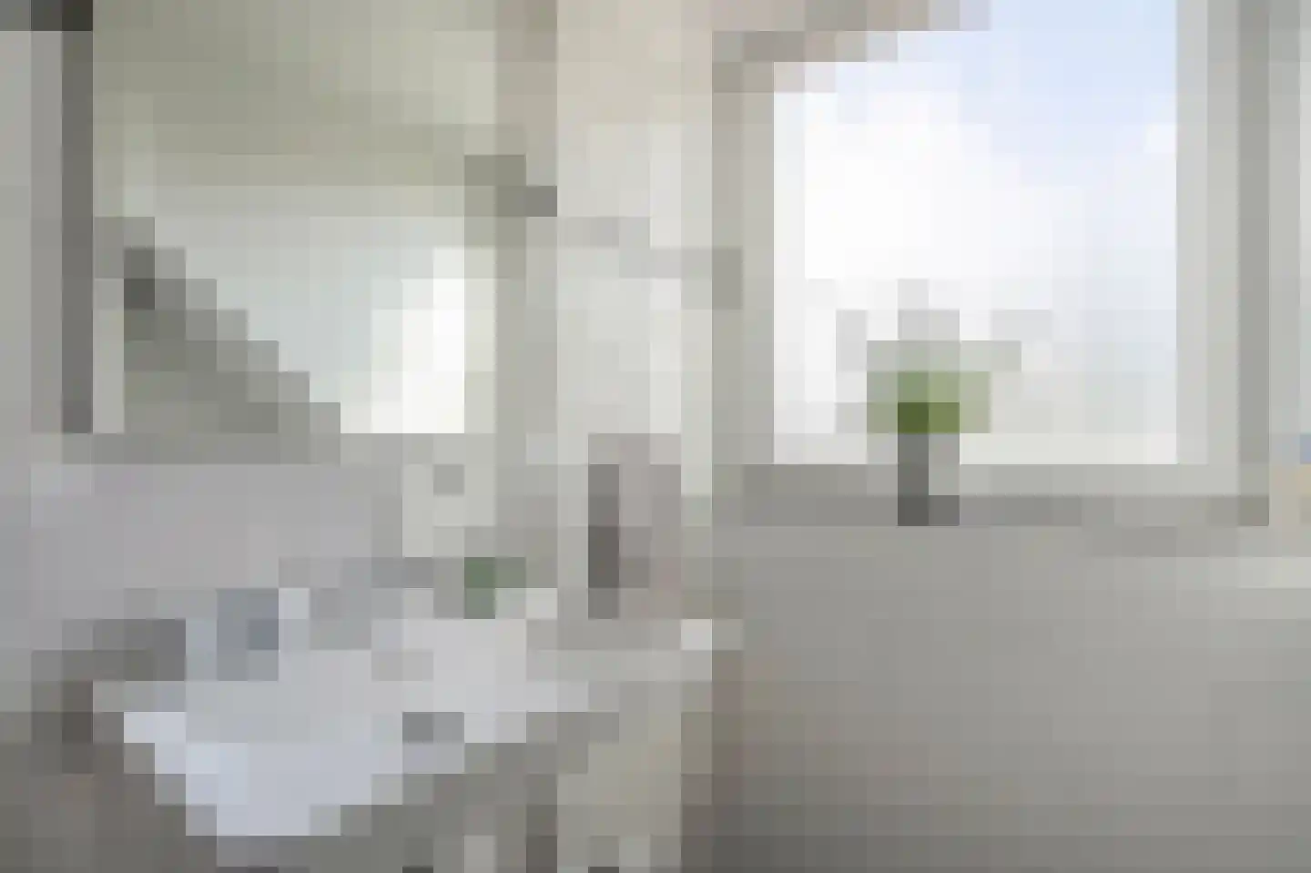 Cypreslaan 4 Exloo thumbnail 38