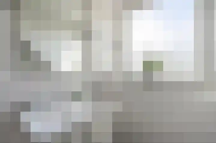 Cypreslaan 4 Exloo thumbnail 38