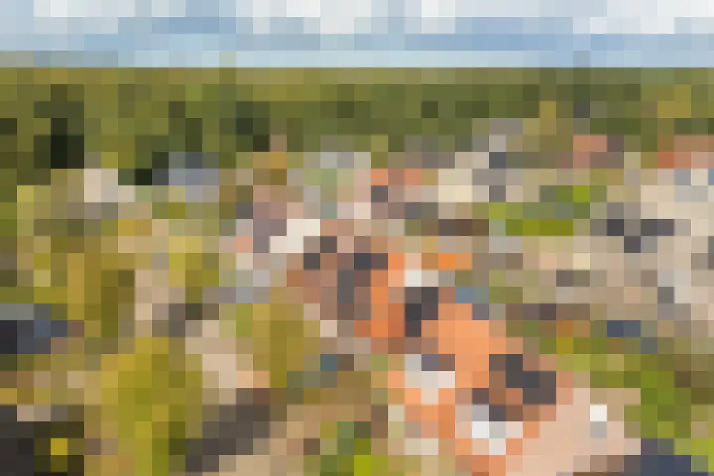 Cypreslaan 4 Exloo thumbnail 4