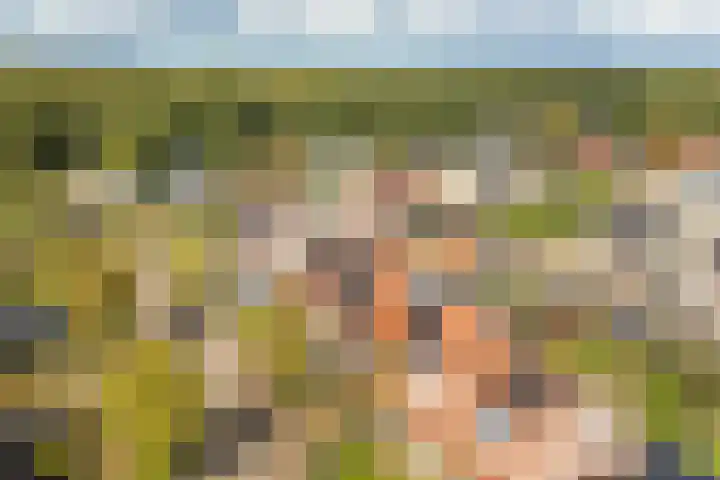 Cypreslaan 4 Exloo thumbnail 4