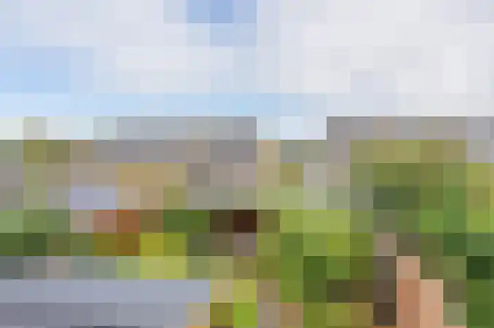 Cypreslaan 4 Exloo thumbnail 45