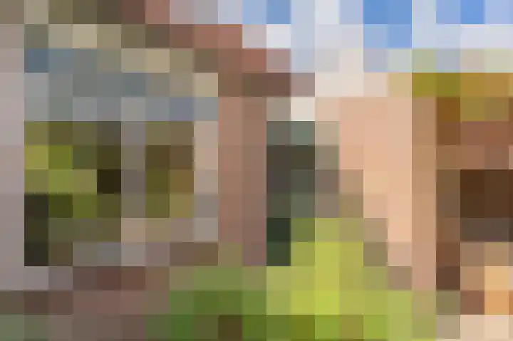 Cypreslaan 4 Exloo thumbnail 46