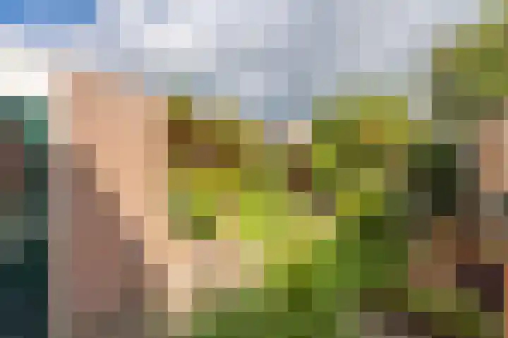 Cypreslaan 4 Exloo thumbnail 47