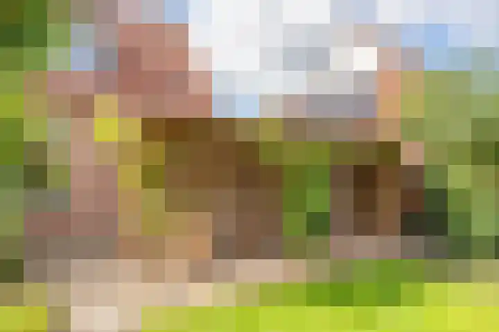 Cypreslaan 4 Exloo thumbnail 48